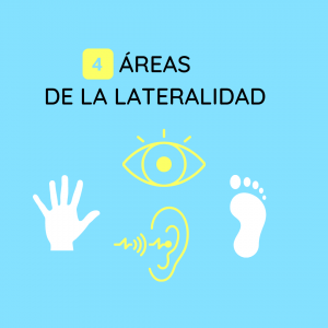 las 4 áreas de la lateralidad
